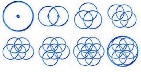 Figura 3 - A Gênese da flor da vida